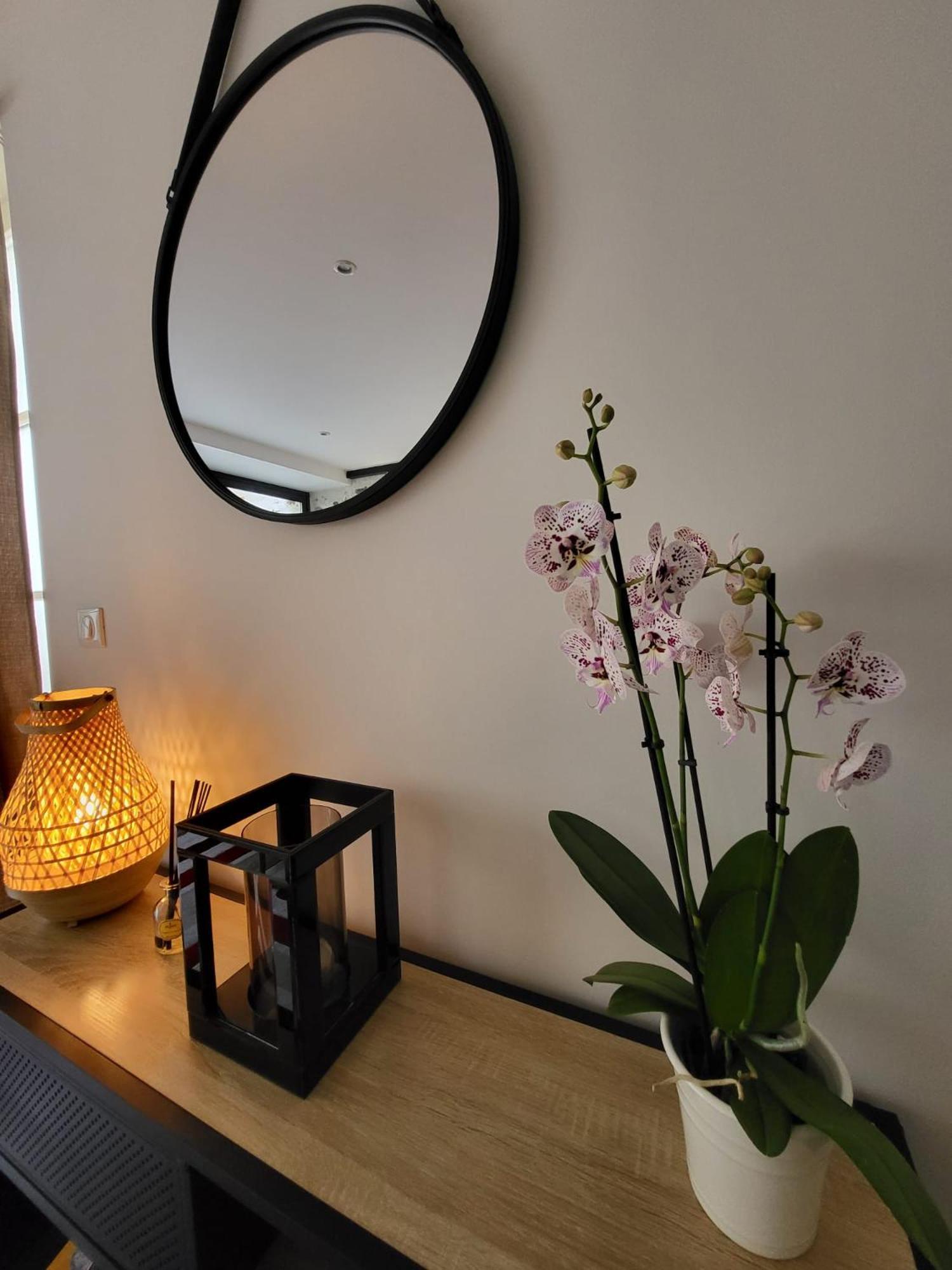 Le Patio - Calme - Hyper Centre Appartement
